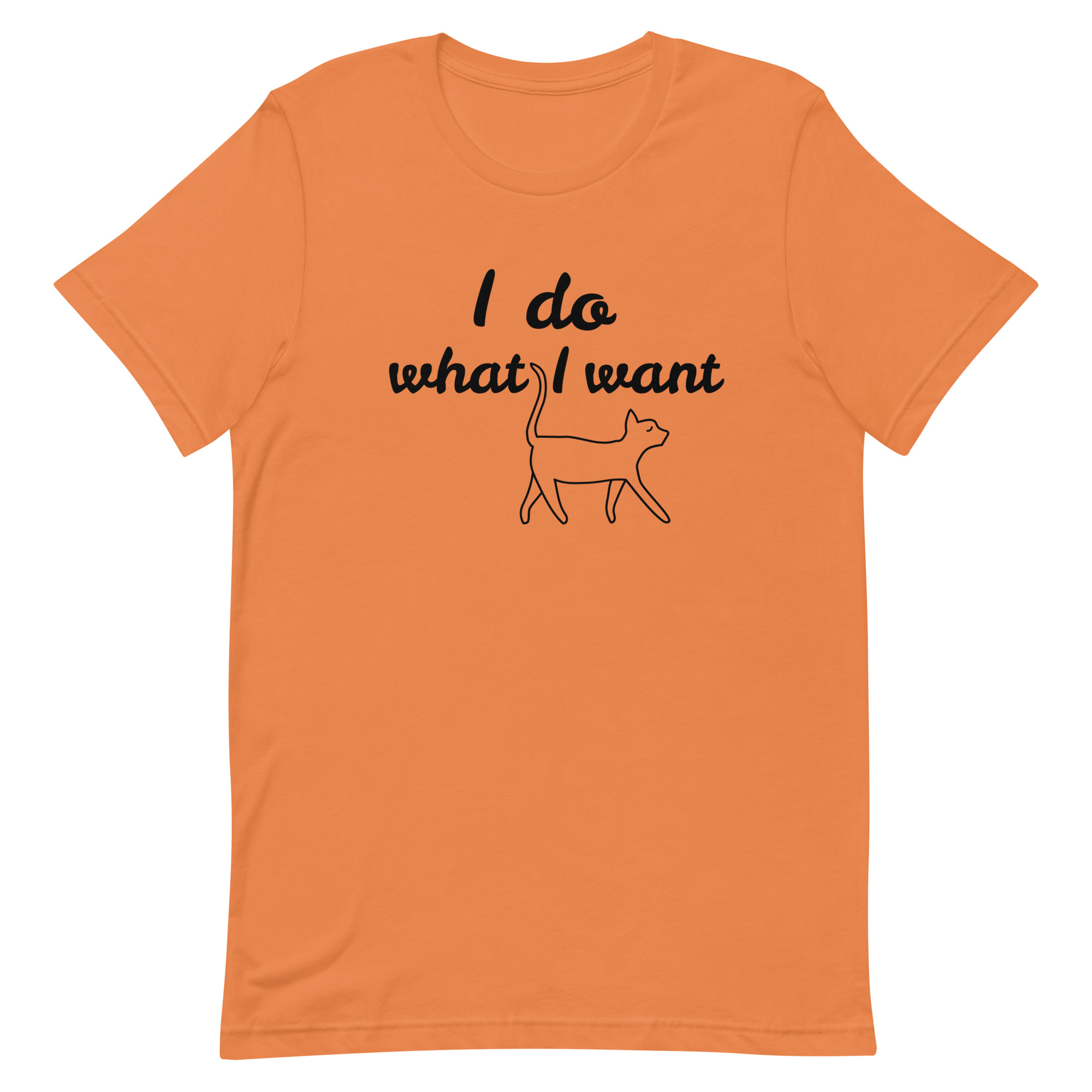 unisex-staple-t-shirt-burnt-orange-front-6634de3982ece.jpg